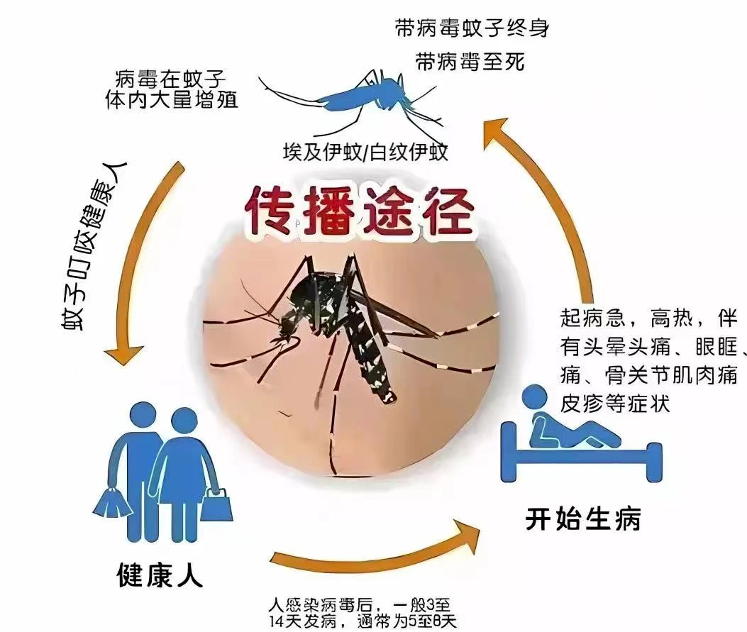 图片来源：北京疾控中心